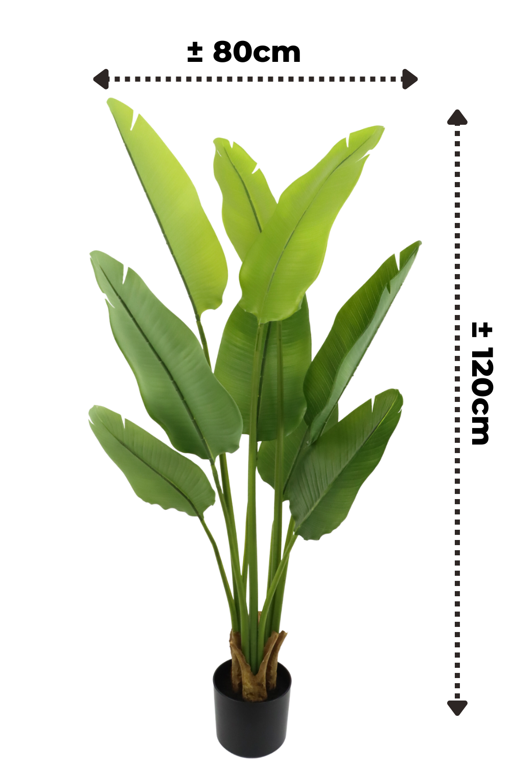Künstliche Strelitzia Pflanze 120 cm