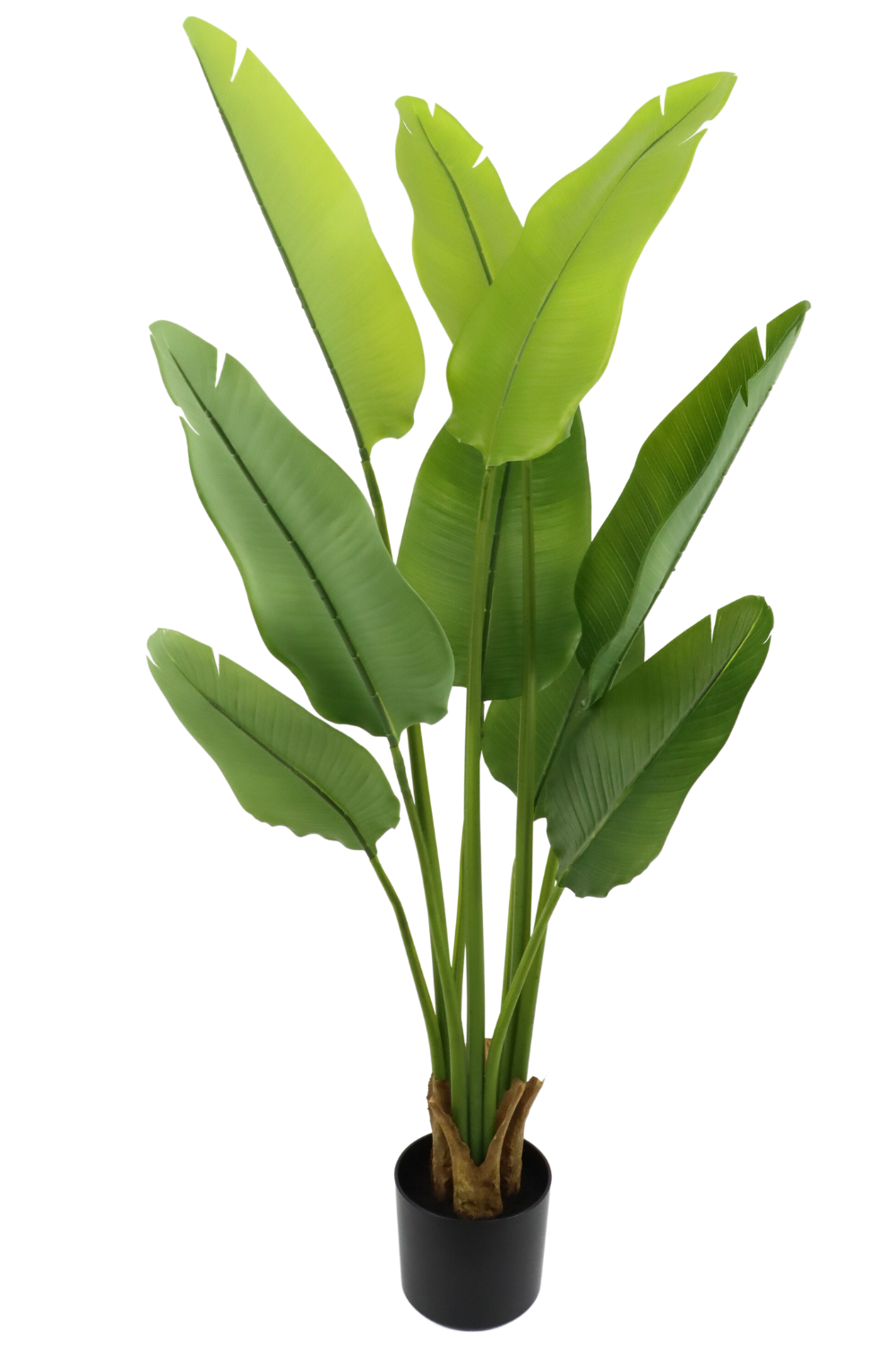 Künstliche Strelitzia Pflanze 120 cm