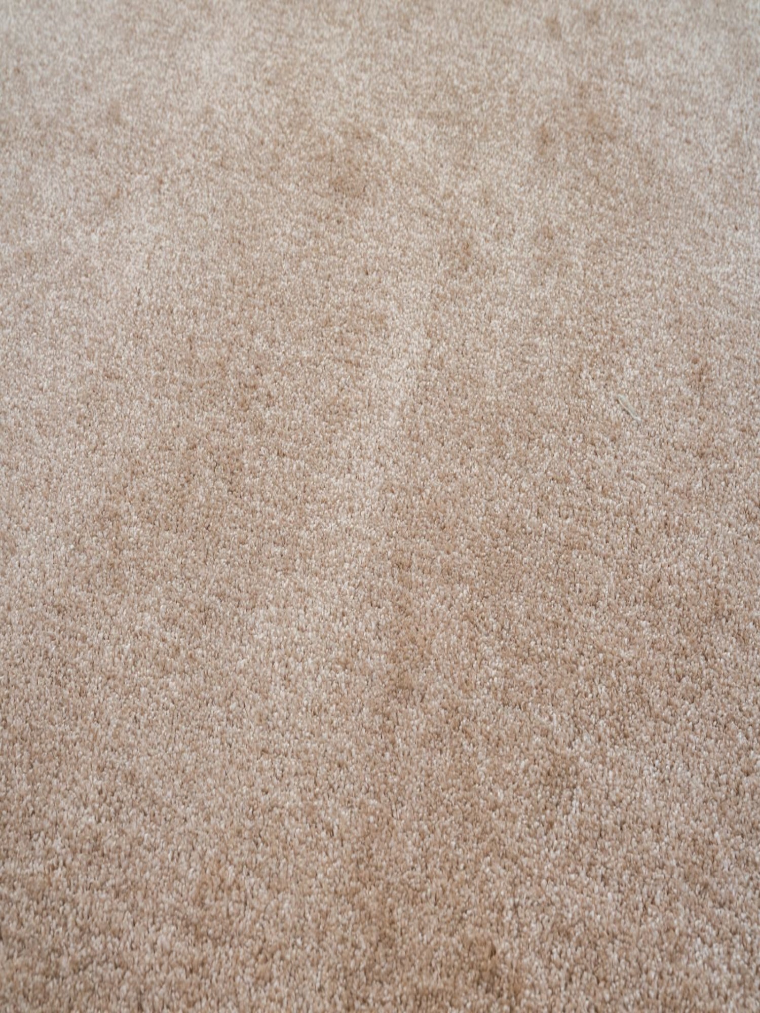 Asta – Carpet in Beige