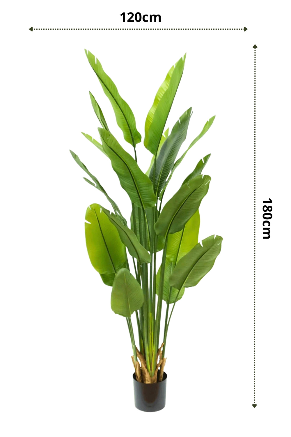 Künstliche Strelitzia Pflanze 180 cm