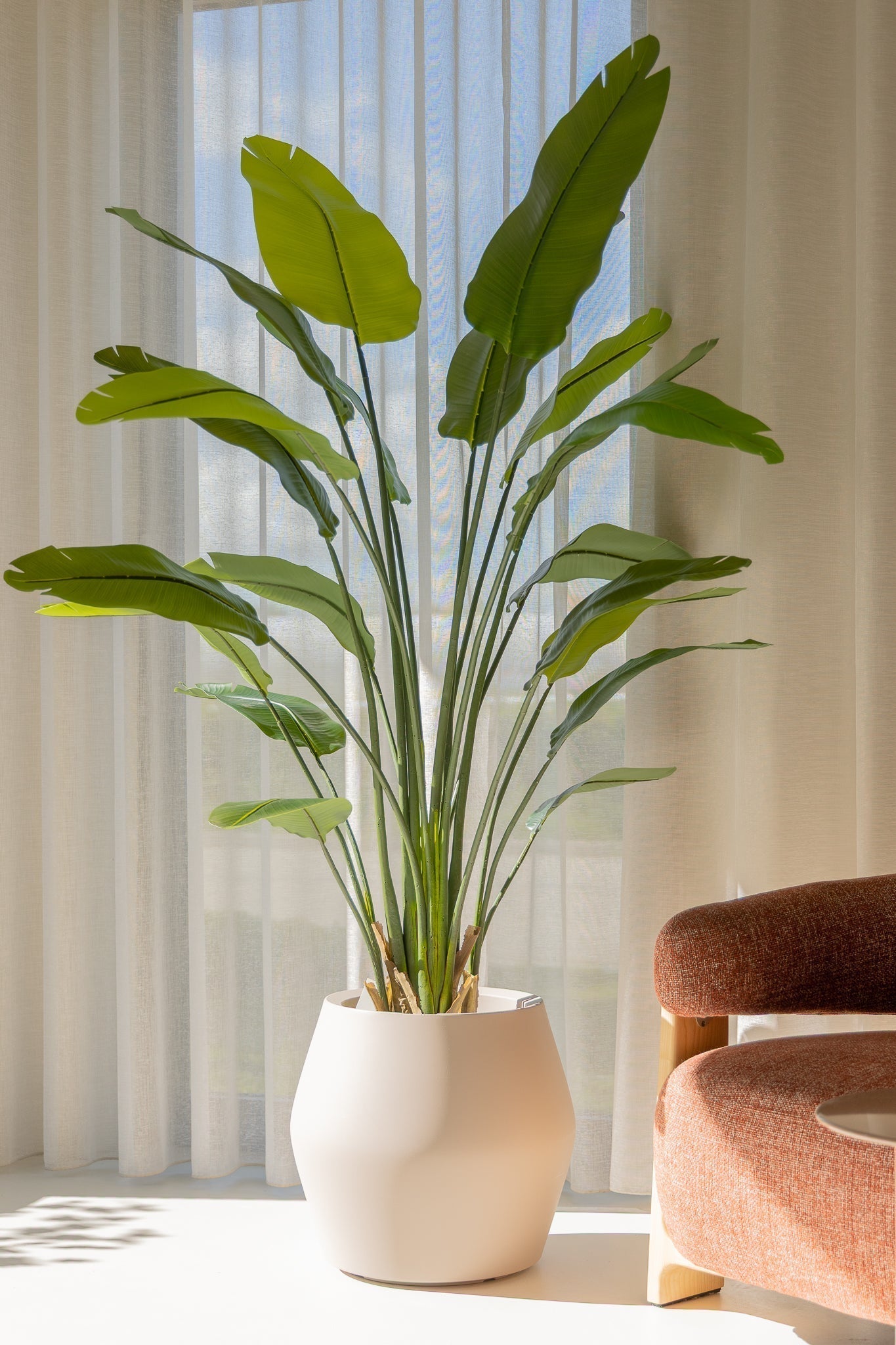 Künstliche Strelitzia Pflanze 180 cm