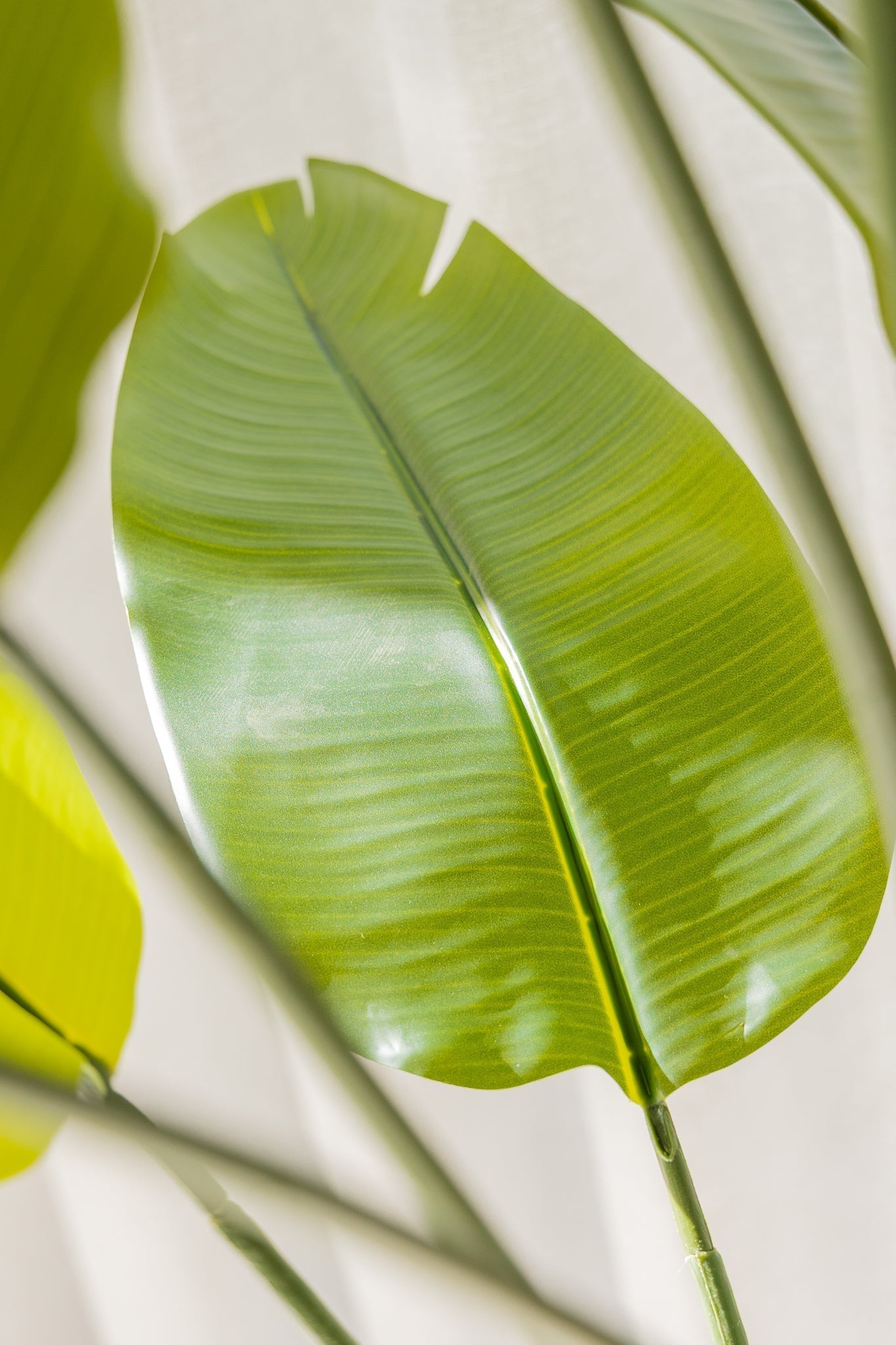 Künstliche Strelitzia Pflanze 180 cm