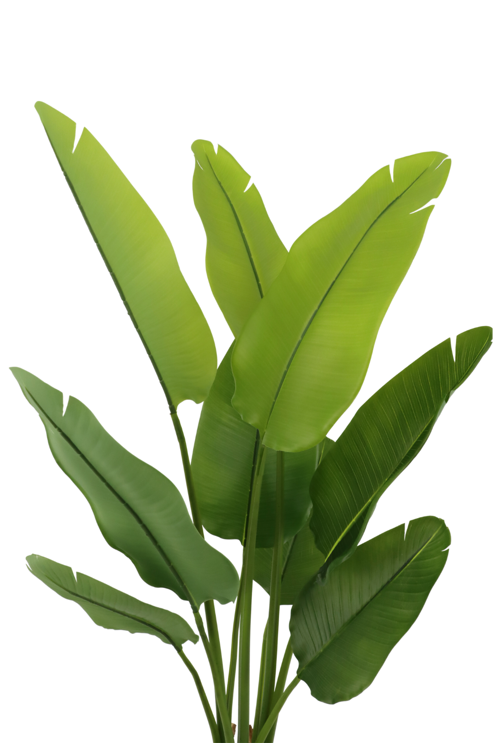 Künstliche Strelitzia Pflanze 120 cm